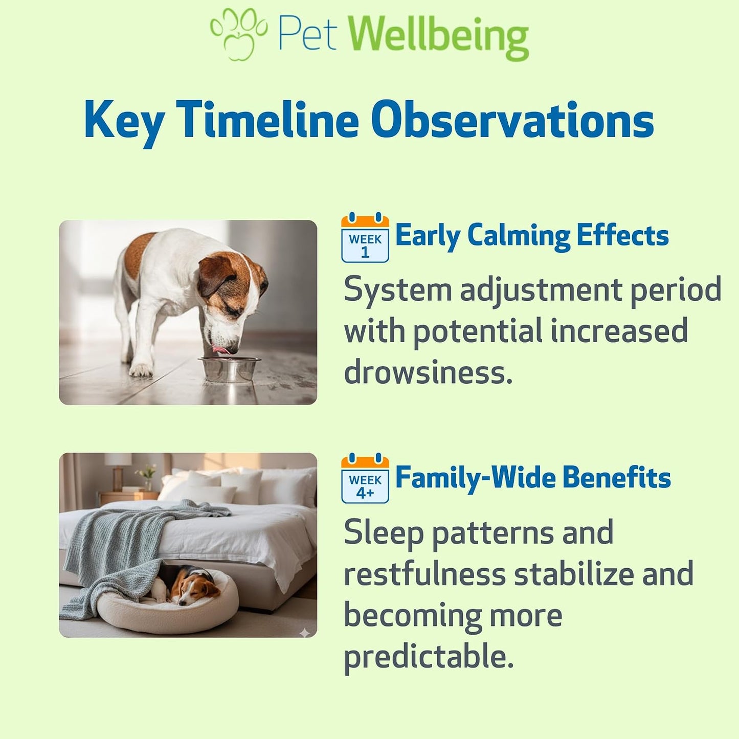 Pet Wellbeing Pet Melatonin for Dogs - Supports Adrenal Health, Cortisol Balance, Helps Maintain Normal Sleep Patterns - Veterinarian-Formulated Liquid Supplement 2 fl oz (59 ml) - görsel 8