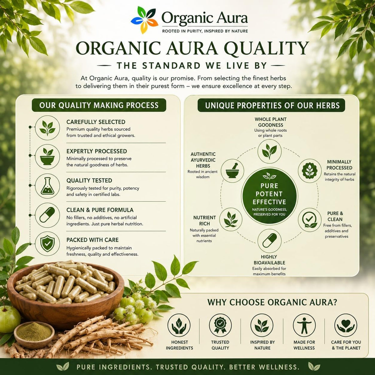 Shatavari Root Powder Capsules. Original and Whole Root Herbal Supplement. Daily Women's Wellness & Vitality Support. Pure, Safe & Minimally Processed. Veg Capsules - No Fillers or Additives. - görsel 7