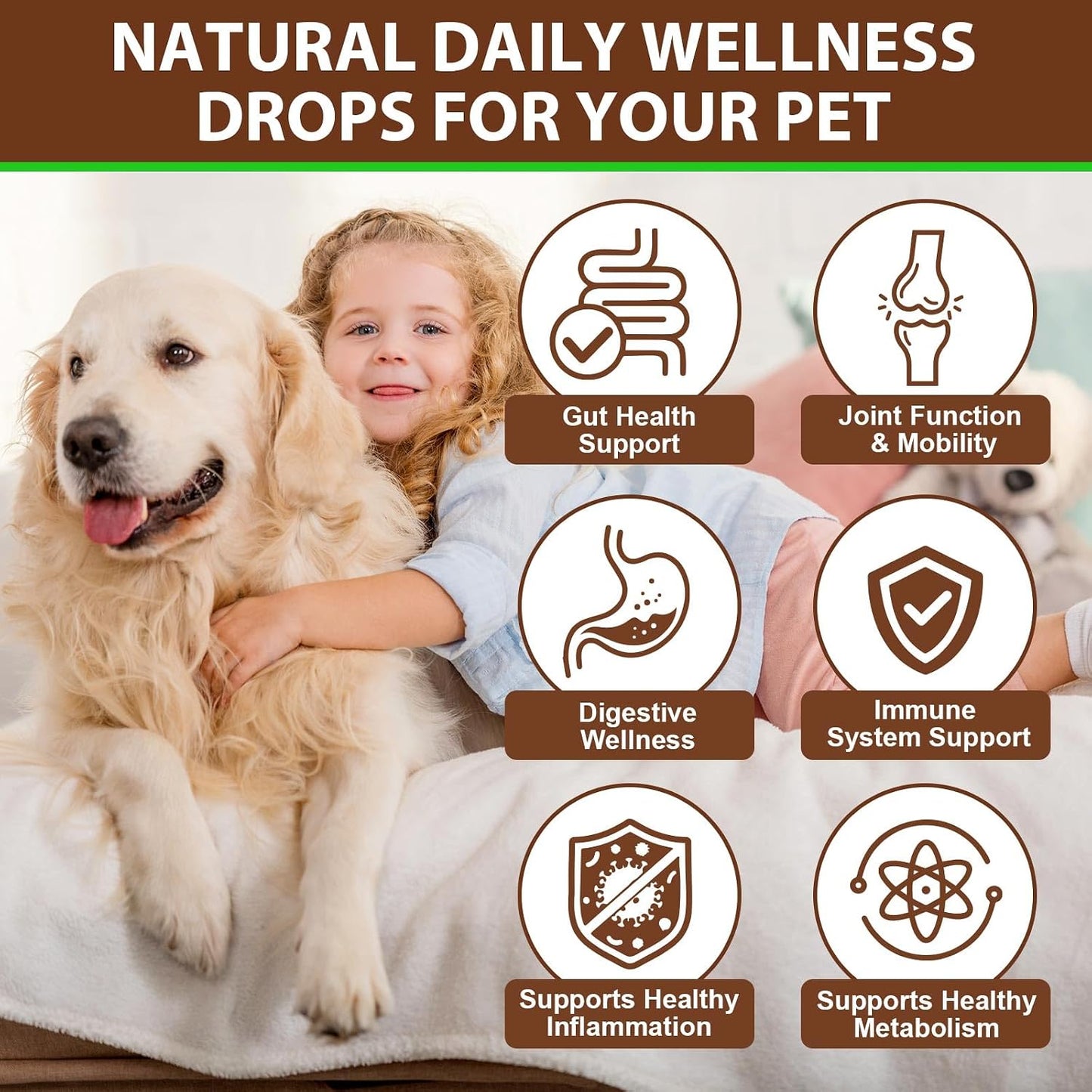 Turkey Tail Mushroom for Dogs – Fast-Absorbing Liquid Drops for Immune, Digestive and Joint Support with Turmeric & Probiotic (60ml) - görsel 3