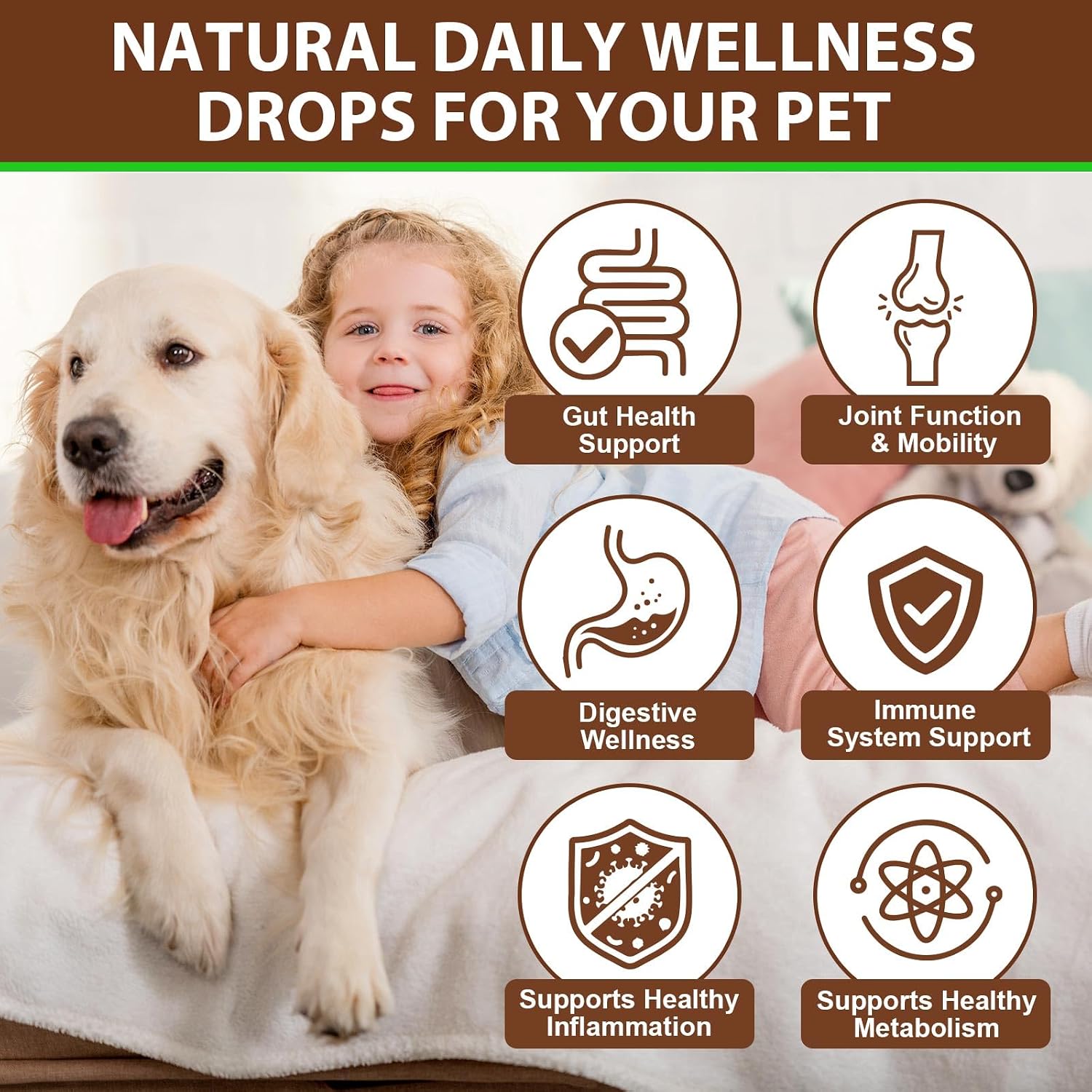 Turkey Tail Mushroom for Dogs – Fast-Absorbing Liquid Drops for Immune, Digestive and Joint Support with Turmeric & Probiotic (60ml) - görsel 3