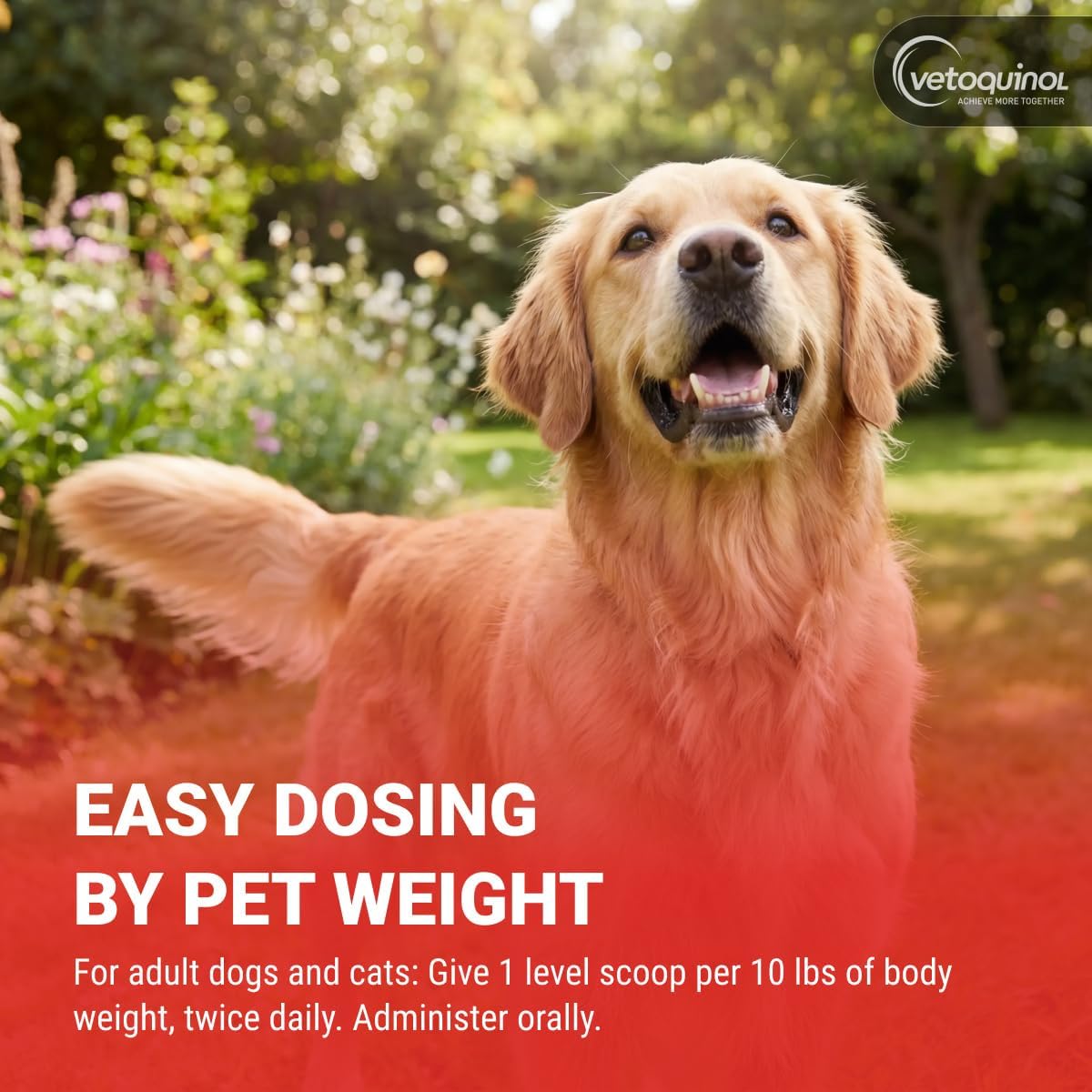 Vetoquinol Renal K - Potassium Supplement Powder for Dogs & Cats - Supports Kidney Health - 99g - görsel 5