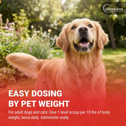 Vetoquinol Renal K - Potassium Supplement Powder for Dogs & Cats - Supports Kidney Health - 99g