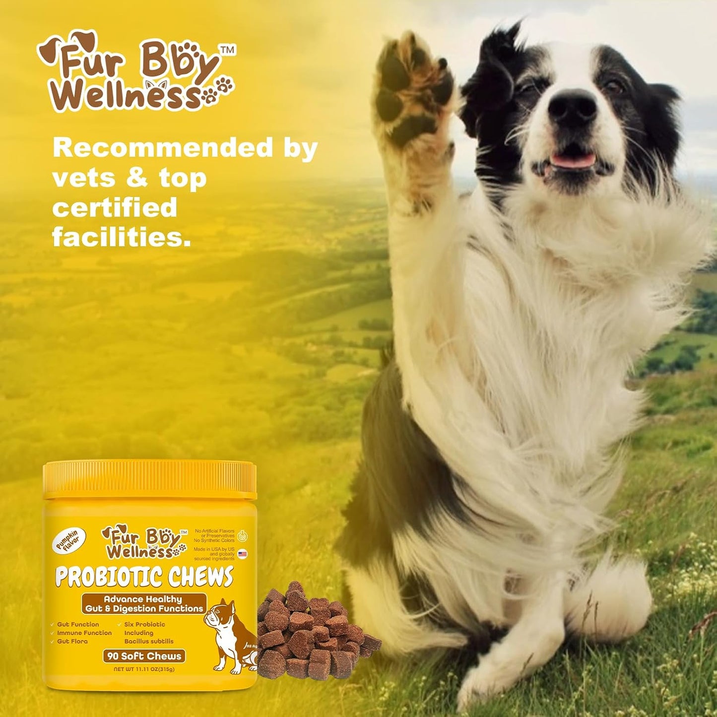 Vet Strength Probiotics for Dogs - Fast Relief for Diarrhoea, Gas & Upset Stomach - Maximum Gut, Immune & Allergy Support - Pumpkin Flavour Soft Chews for All Breeds, 90 Count - görsel 6