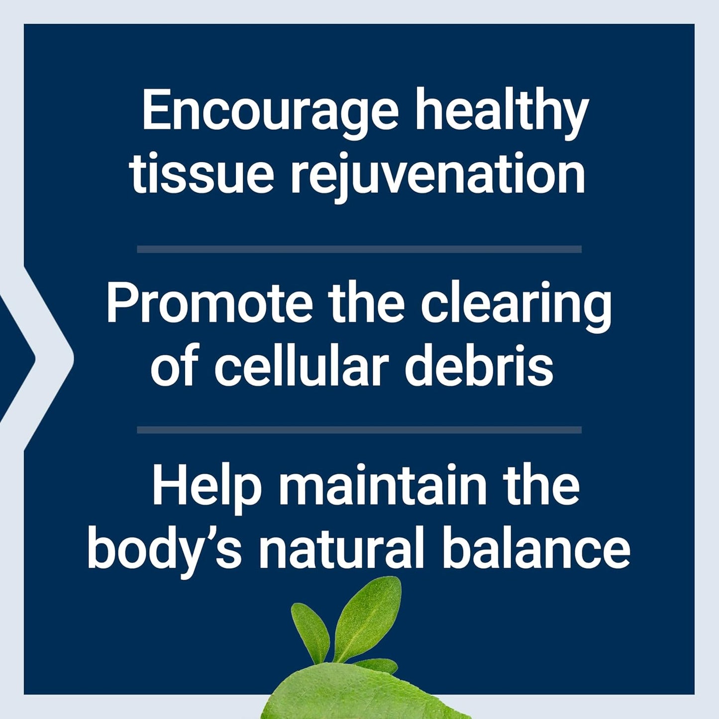 Life Extension Pro-Resolving Mediators, 18-HEPE, 17-HDHA, 14-HDHA, Supports the Body's Natural Post-inflammatory Response, 30 Softgels - görsel 4