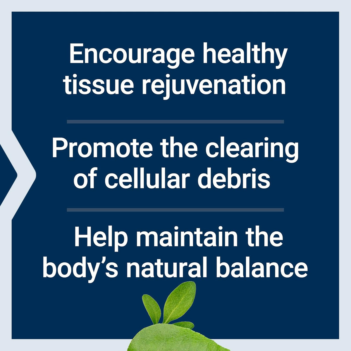 Life Extension Pro-Resolving Mediators, 18-HEPE, 17-HDHA, 14-HDHA, Supports the Body's Natural Post-inflammatory Response, 30 Softgels - görsel 4