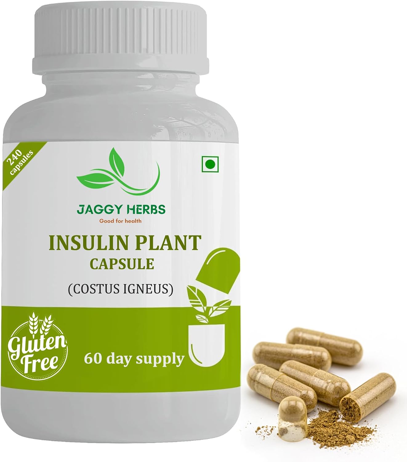 JAGGY Premium Insulin Plant Capsules (Costus Igneus) - 240 Vegetarian Capsules, 60-Day Supply - görsel 1