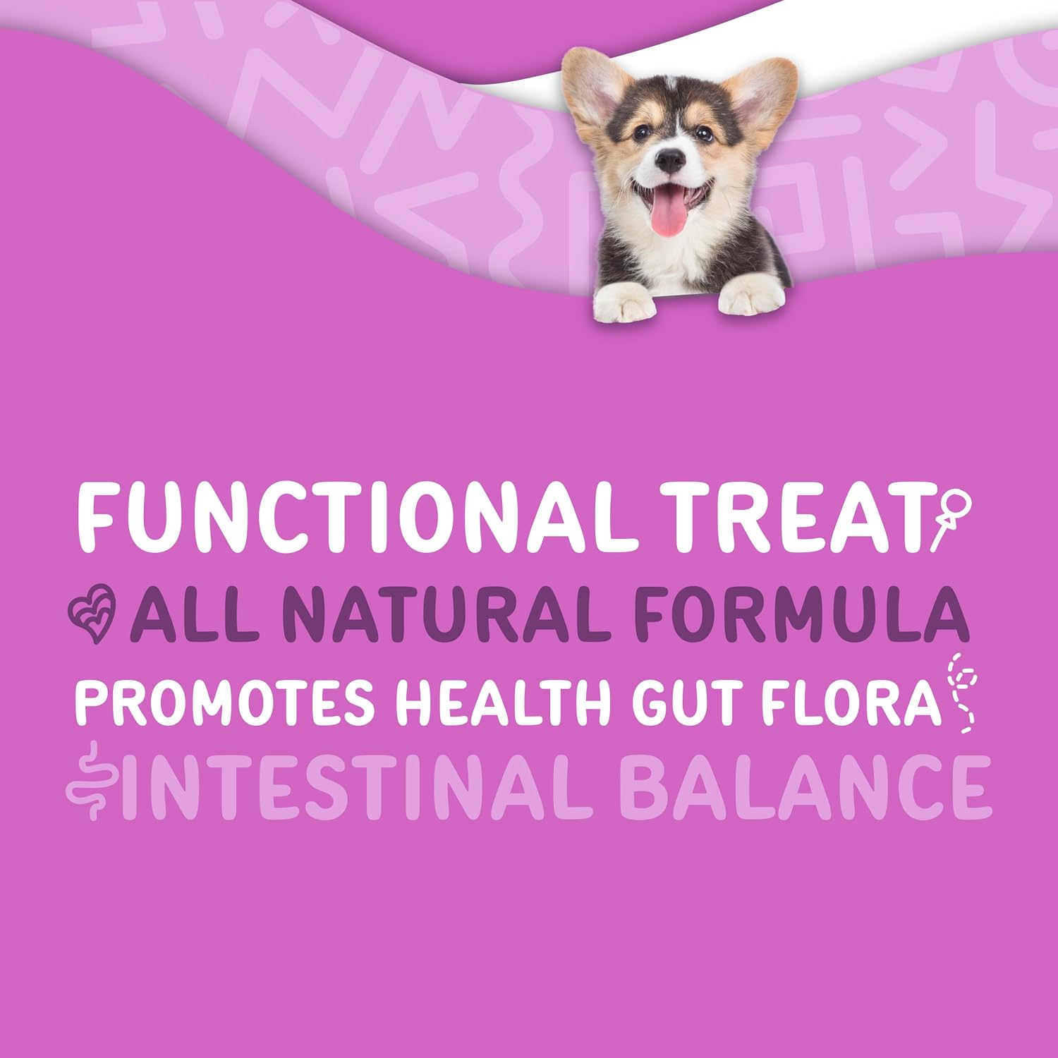 Waggedy Advanced Dog Probiotics Gut and Digestion Food Topper – Probiotic Powder with Digestive Enzymes & Papaya – Gentle Probiotics for Dogs 6+ Weeks – Supports Gut Balance, Comfort & Immune Health - görsel 3