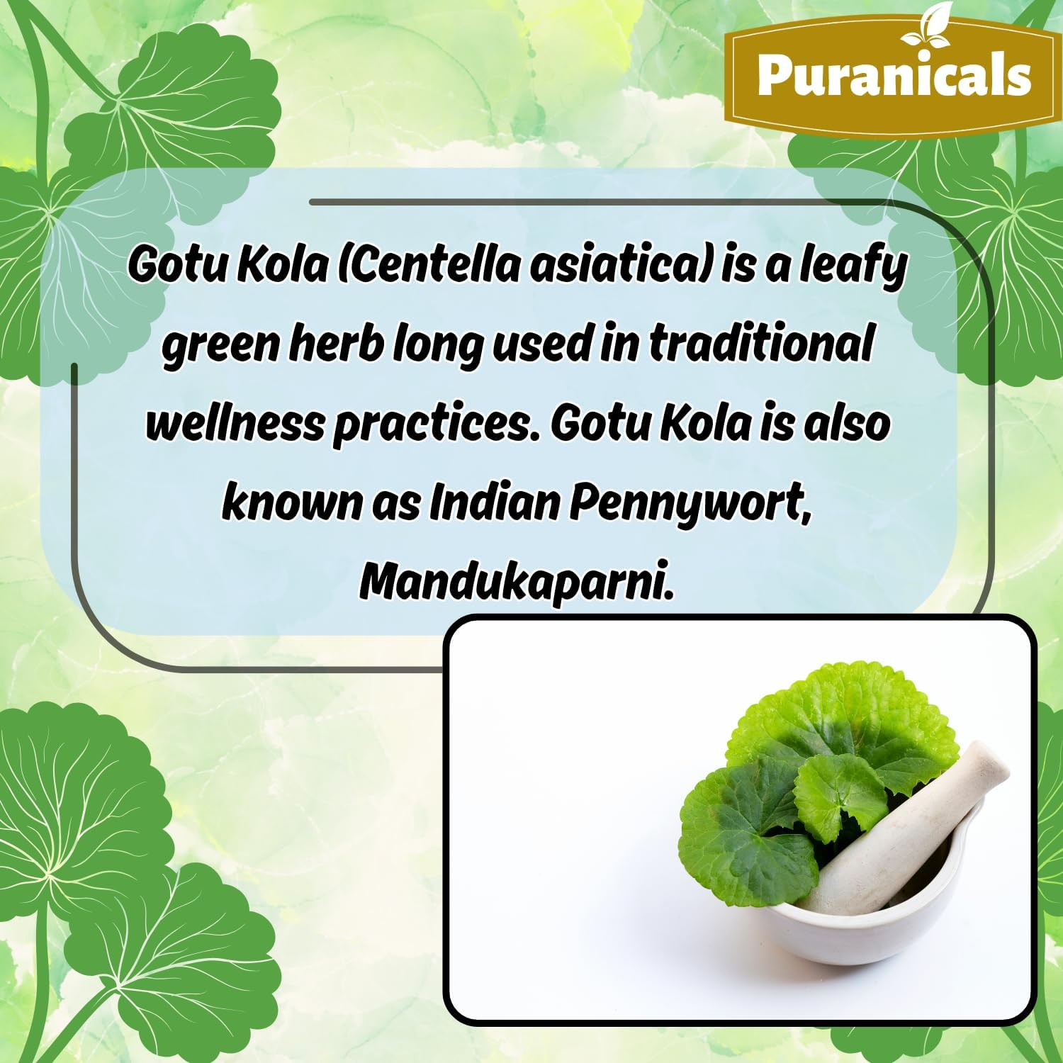 Gotu Kola Premium 320 Capsules – Non-GMO and Gluten-free | Herbal Supplement | 600 mg Per Serving | Made with 100% Pure Gotu Kola Powder - görsel 4
