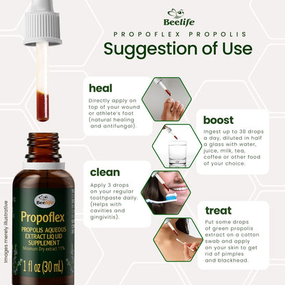 Beelife Green Propolis Extract - No Alcohol, High Artepillin-C, Antioxidant Liquid Supplement, 30 ml