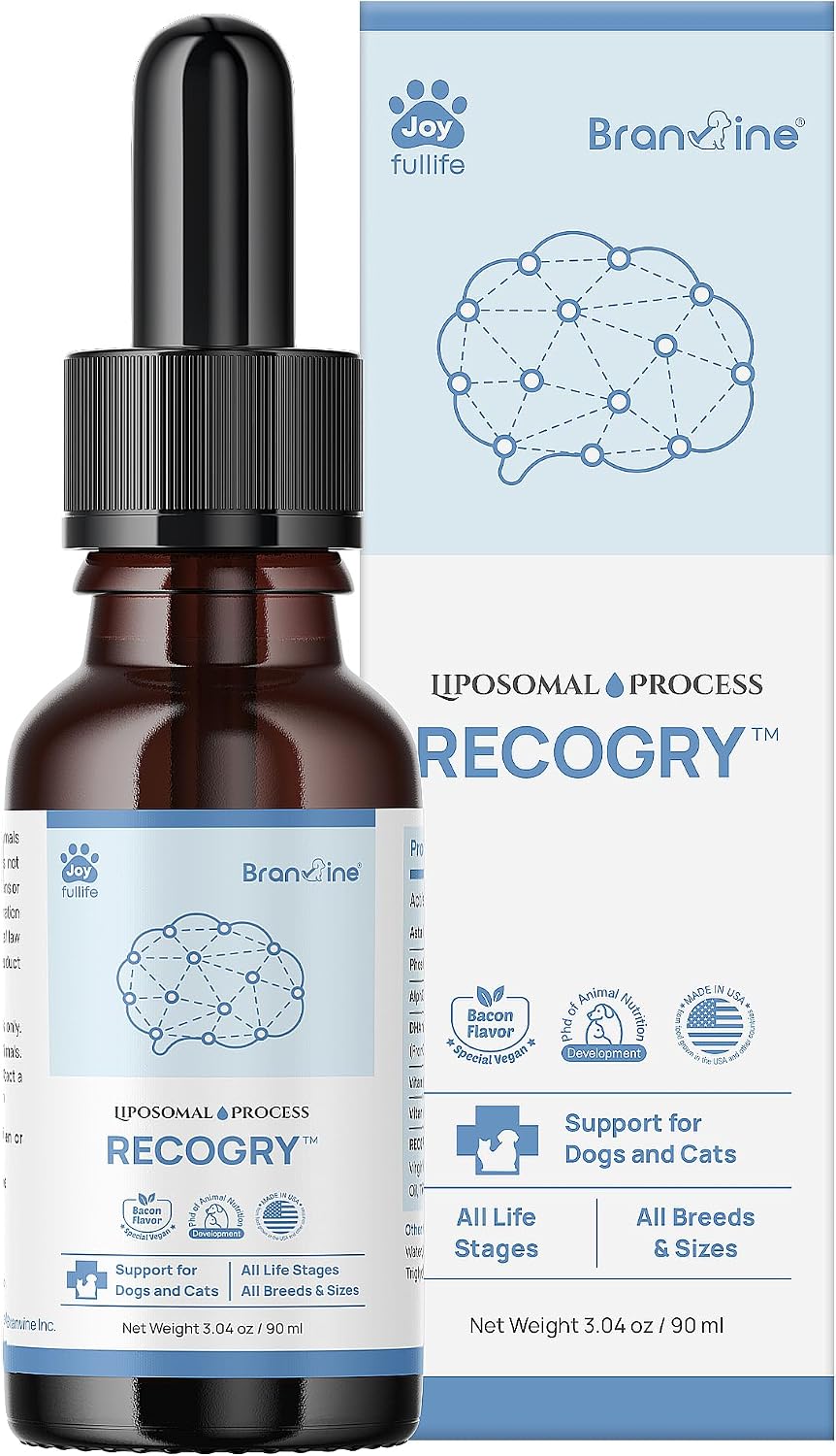Recogry Liquid Cognitive Support for Dogs and Cats with Astaxanthin, Phosphatidylserine, Alpha GPC, DHA, Olive, Coconut, Sage, Turmeric, Ginger (90 ml) - görsel 1