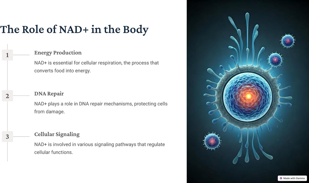 NAD+ Resveratrol - görsel 1