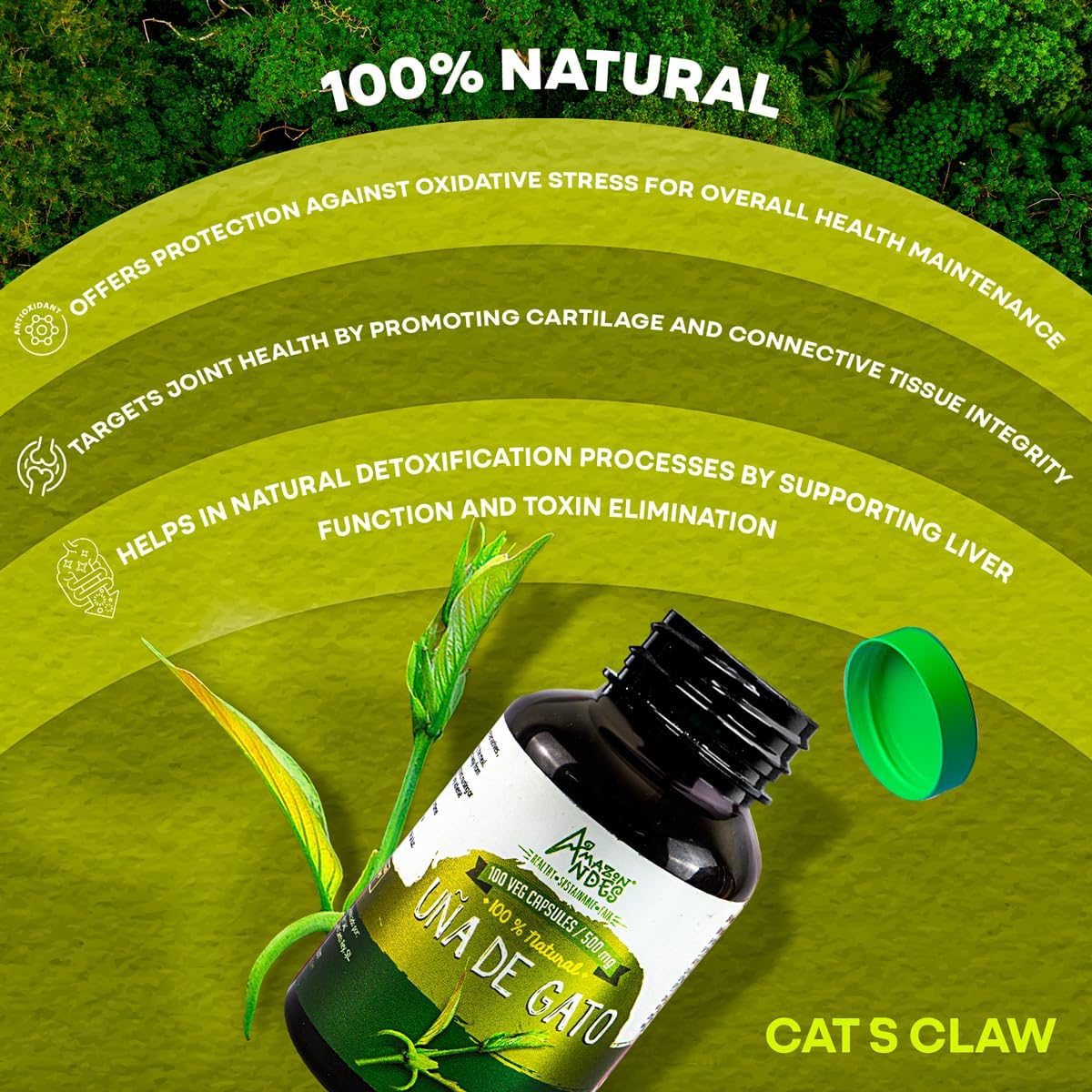 Cat's Claw (Uncaria Tomentosa) Capsules – 1000mg per Serving, Vegan, Sustainably Sourced - görsel 3