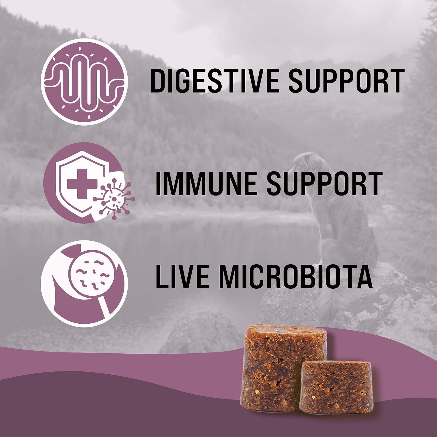 FloraPup Probiotic & Digestive Support for Dogs – Promotes & Maintains Gut Health, Supports Normal Immune Function - görsel 3