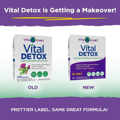 Vital Planet - Vital Detox with Milk Thistle, Quercetin, Alpha Lipoic Acid, Choline, and Herbs, for Occasional Gas and Bloating, Supports Healthy Intestinal Balance, 2-Part 14 Day Kit, 56 Capsules