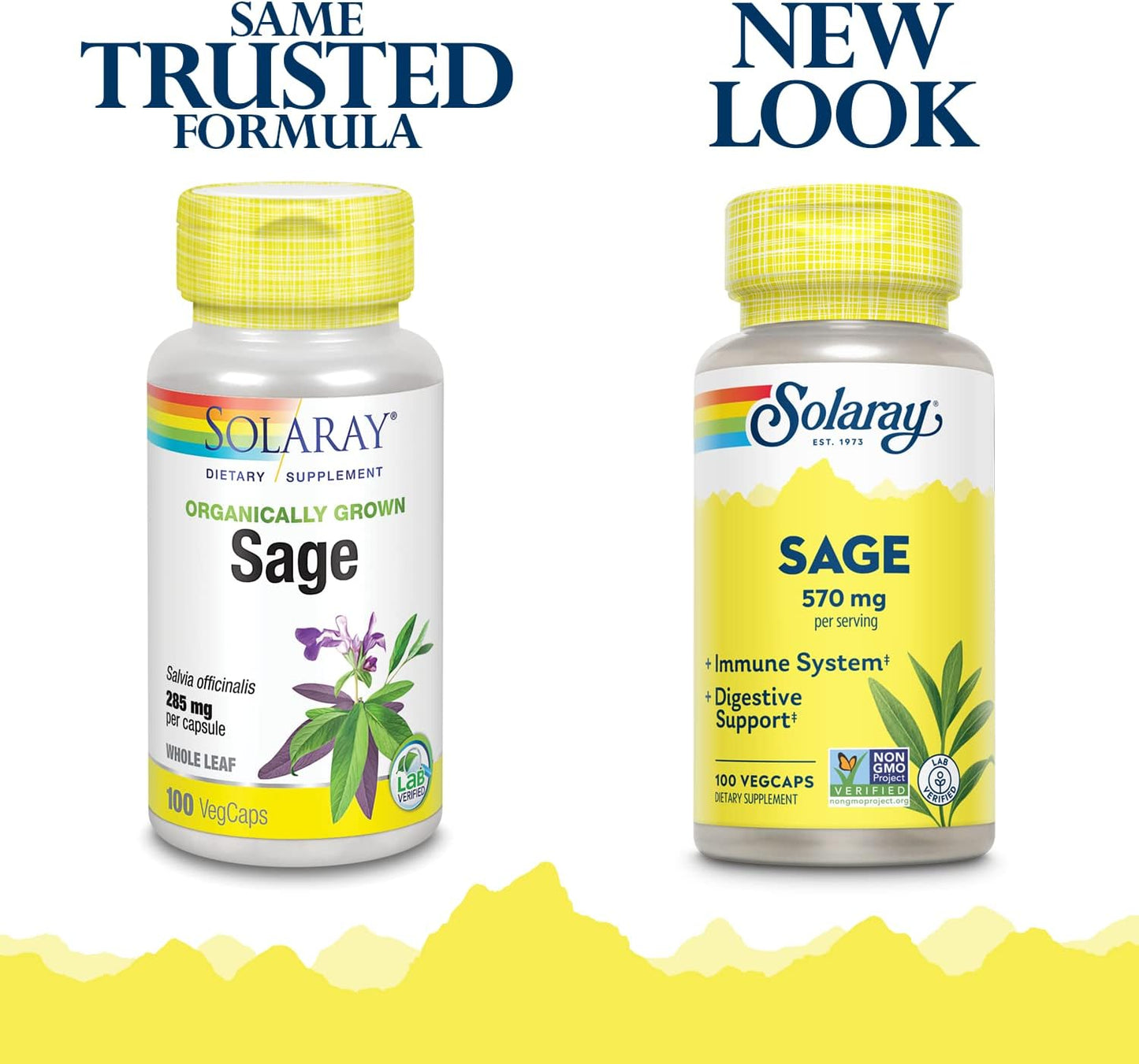 Solaray Sage Leaves Supplement - 570 mg, 100 Veg Caps - görsel 2