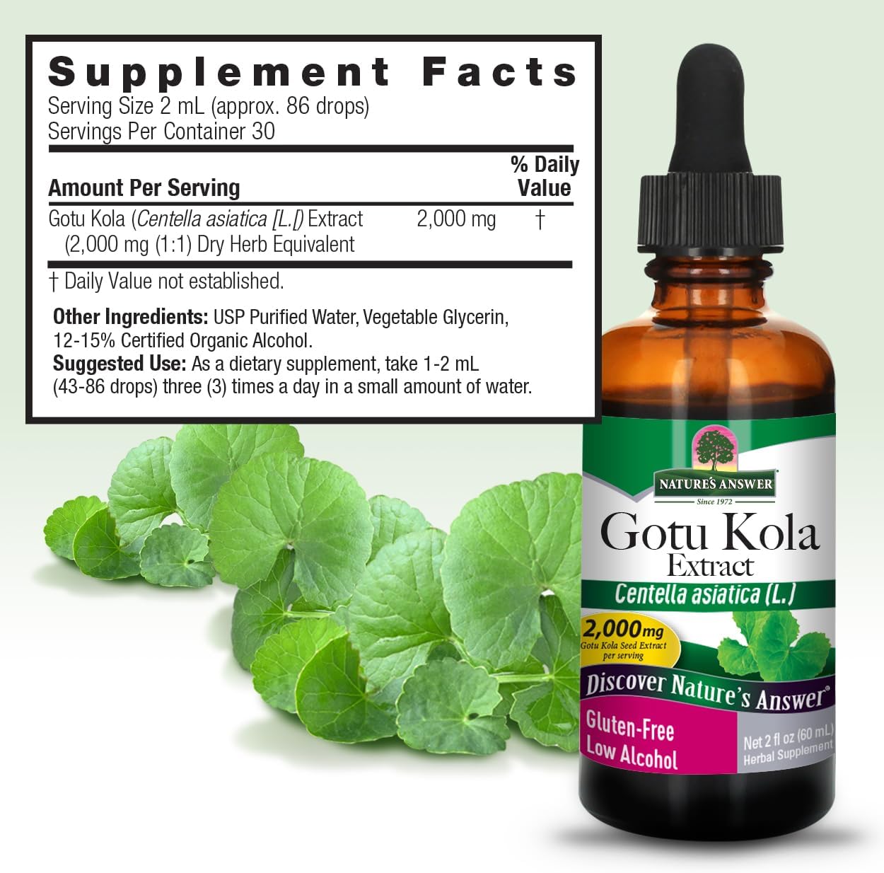 Nature's Answer Gotu-Kola Herb 60 ml - görsel 4