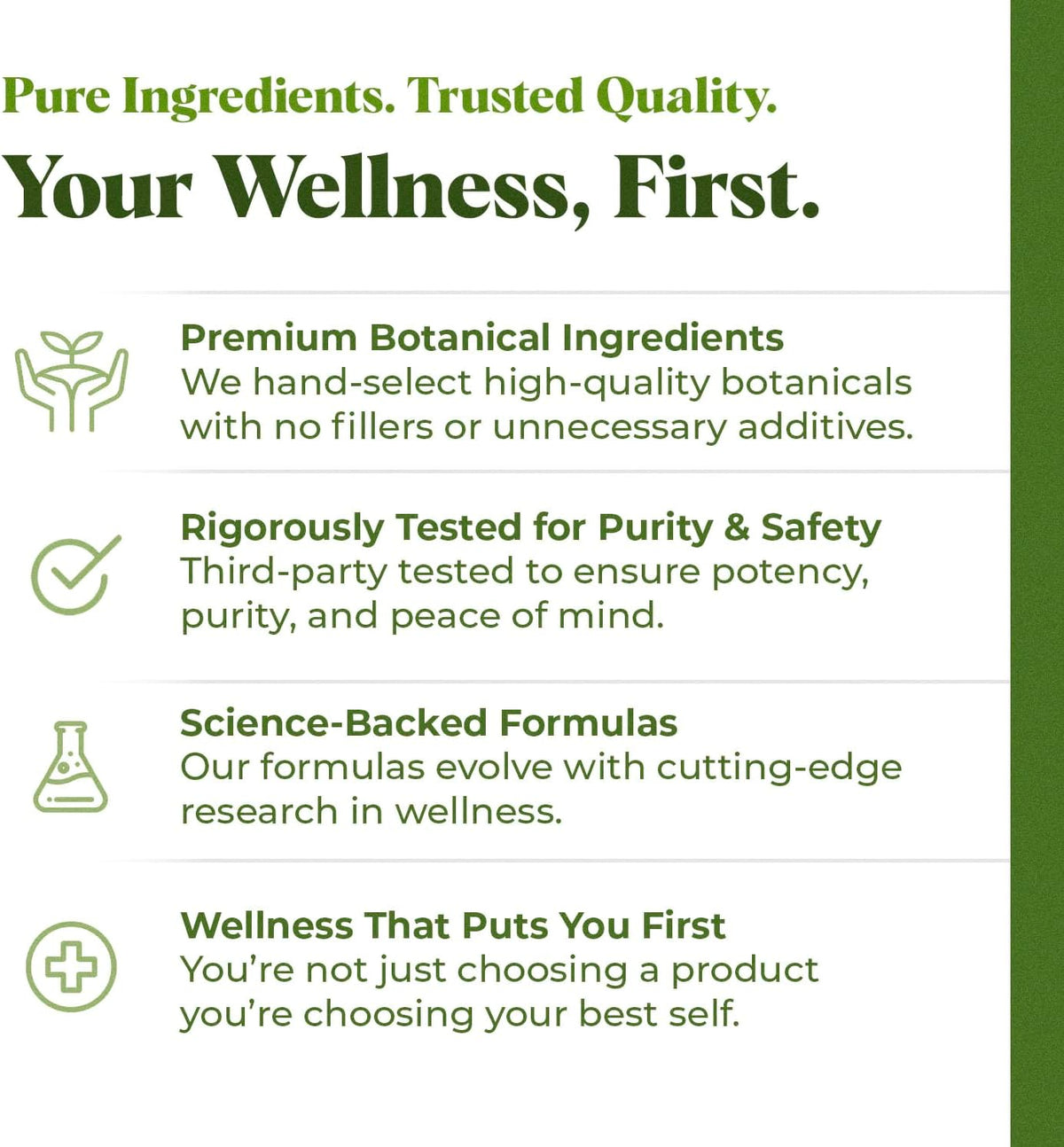 Lemon Balm Liquid Extract Tincture (Melissa officinalis) – Alcohol-Free – Vegan, Non-GMO, Gluten-free – 30ml - görsel 7