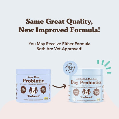 Natural Dog Company Probiotics for Dogs – Dog Probiotic Chews with 1B CFU, Canine-Specific Microencapsulated Strains, Prebiotics & Enzymes for Digestive Health, Stool Quality & Immune Support, 45 Chews