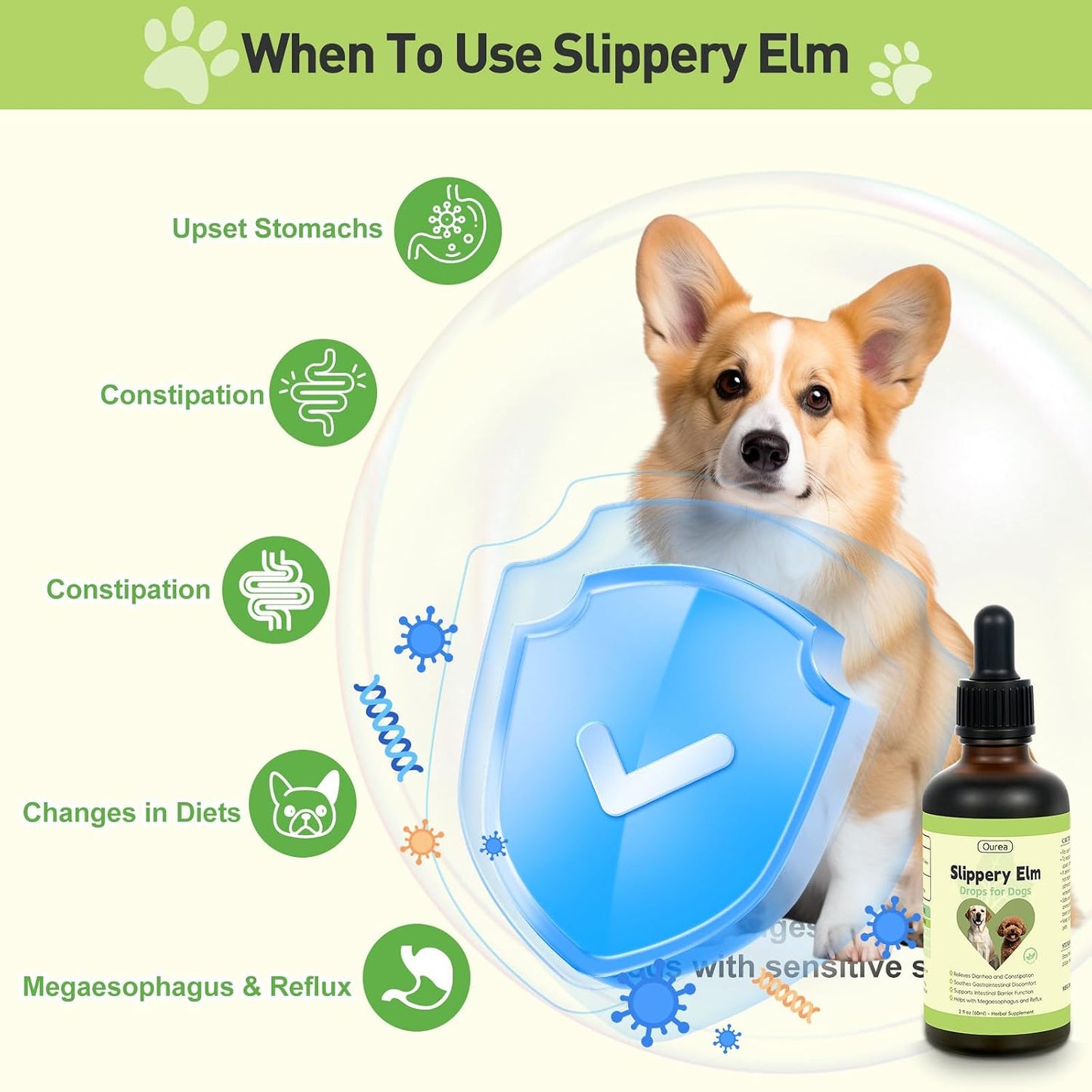 Slippery Elm for Dogs – Organic Herbal Digestive Support Drops - görsel 6