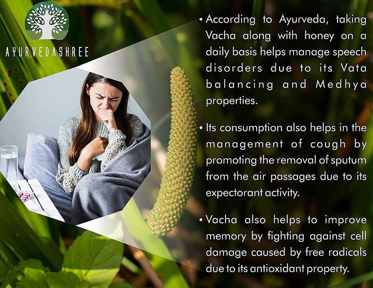AYURVEDASHREE Calamus Powder (Vacha) - Acorus Calamus Root Powder, 200g - görsel 6