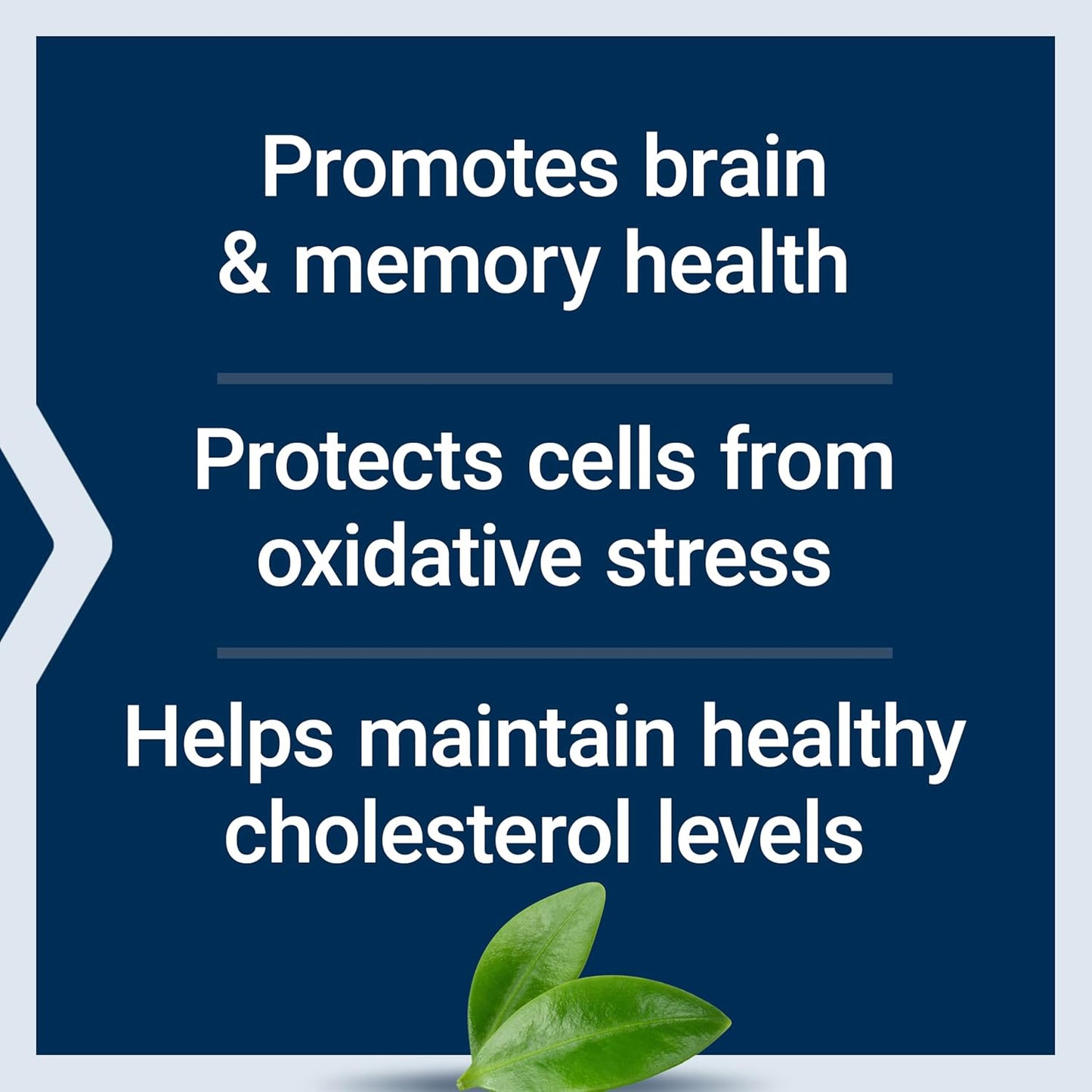 Life Extension Wild Blueberry Extract Capsules - görsel 4