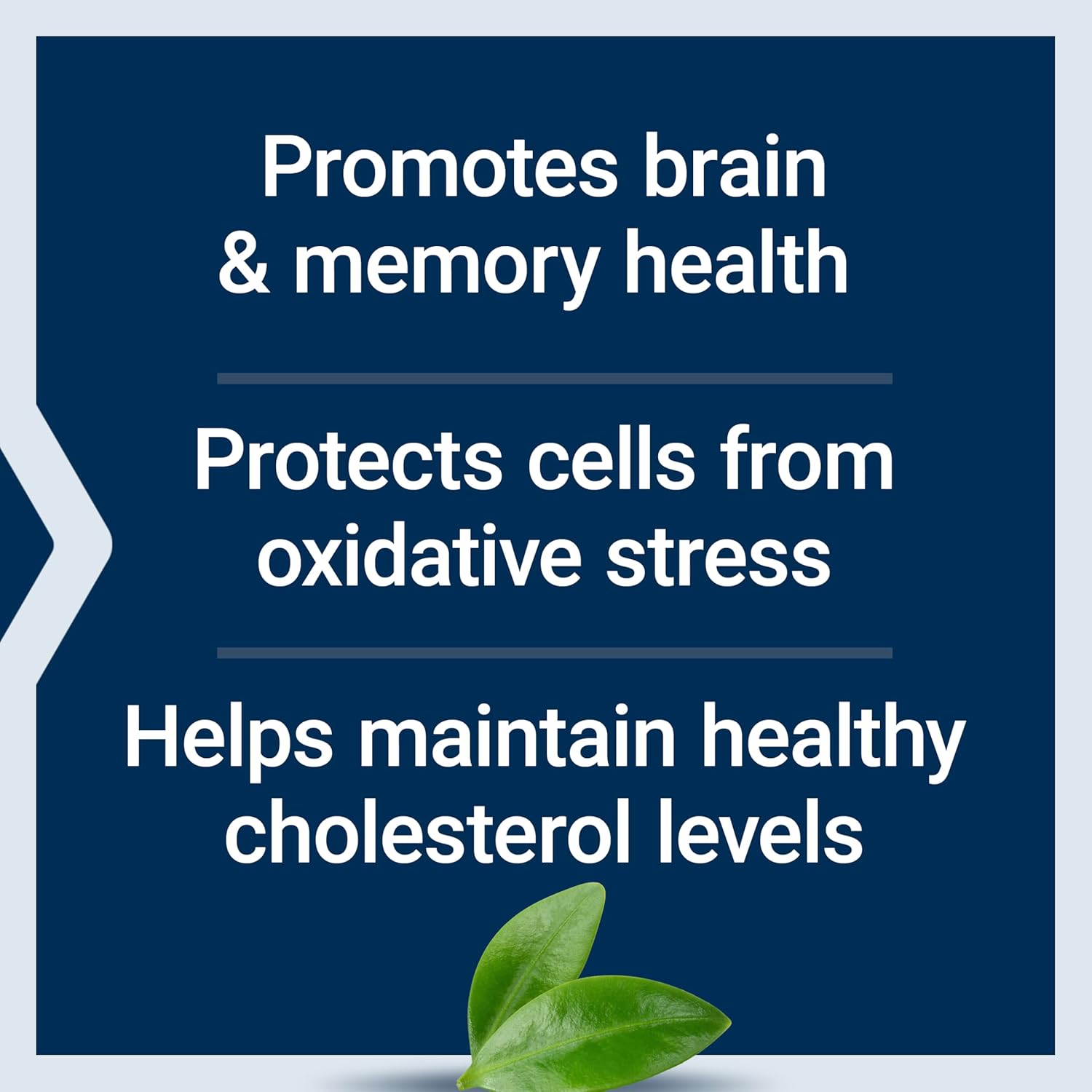 Life Extension Wild Blueberry Extract Capsules - görsel 4