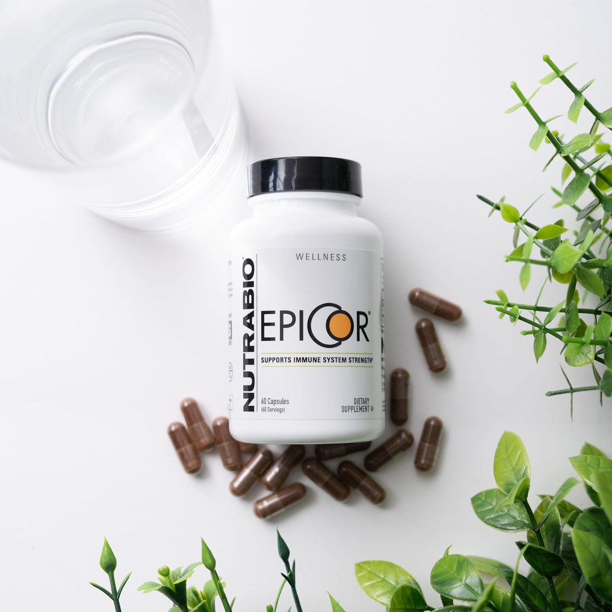NutraBio Epicor Multi Vitamin, 500 mg, 60 Vegetable Capsules – Image 4