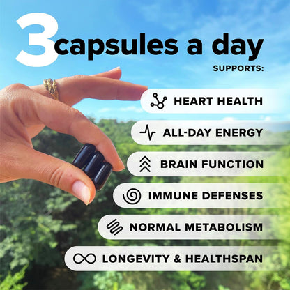 Complement Essential Vegan Multivitamin for Women & Men