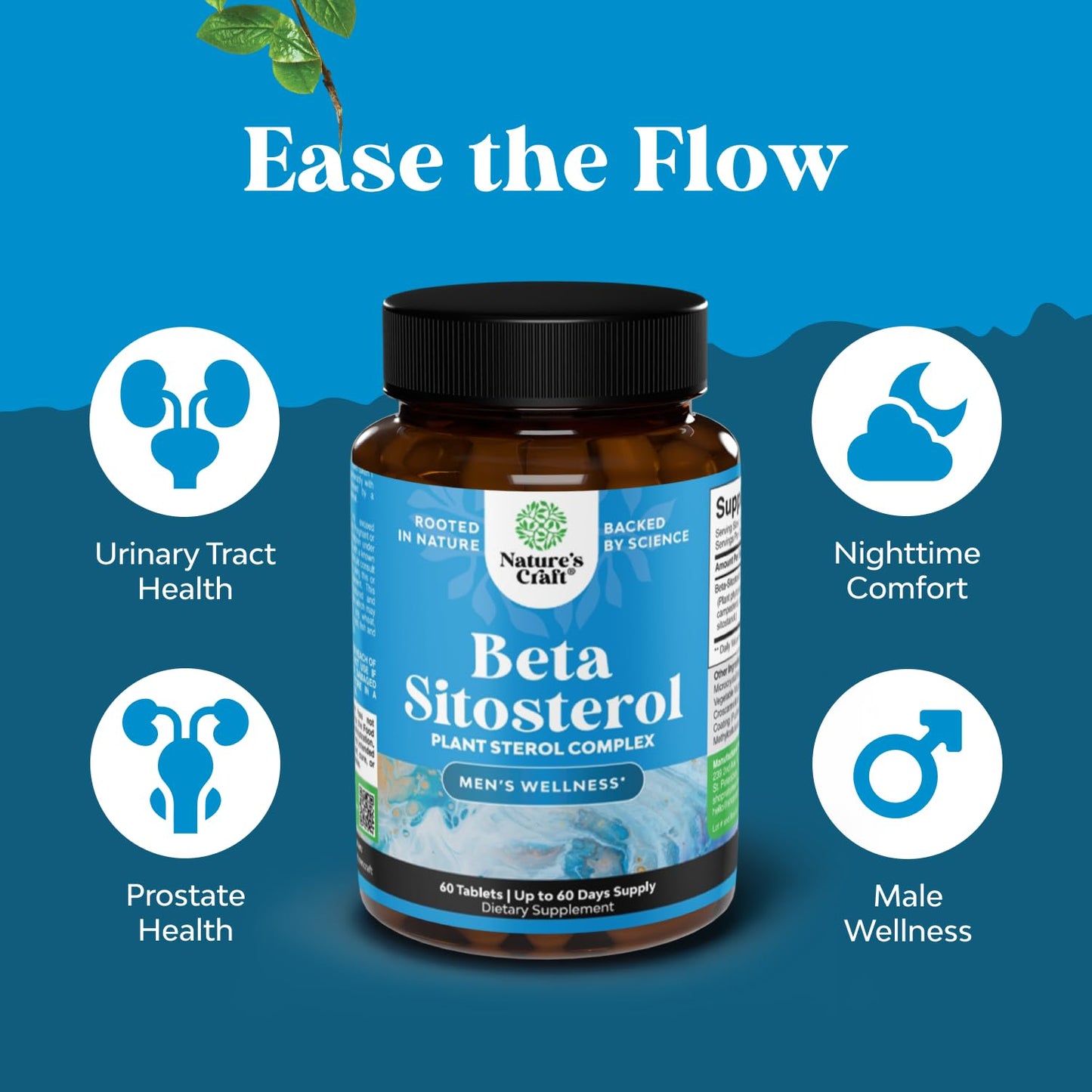 Natures Craft Plant Sterols Complex with Beta Sitosterol - 500mg Beta-Sitosterol Supplement for Prostate Health - Men's Prostate Support - 60 Capsules - görsel 2