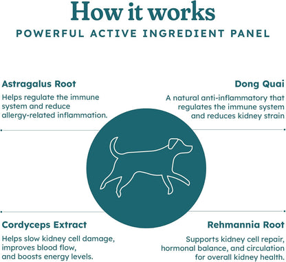 PetHeal Kidney Guard Chews for Dogs - Vet-Reviewed Renal Support with Astragalus, Cordyceps, Dong Quai & Rehmannia - 30 Soft Chews, Pork Flavour