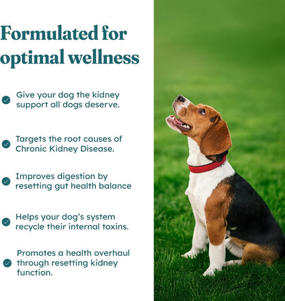 PetHeal Kidney Guard Chews for Dogs - Vet-Reviewed Renal Support with Astragalus, Cordyceps, Dong Quai & Rehmannia - 30 Soft Chews, Pork Flavour