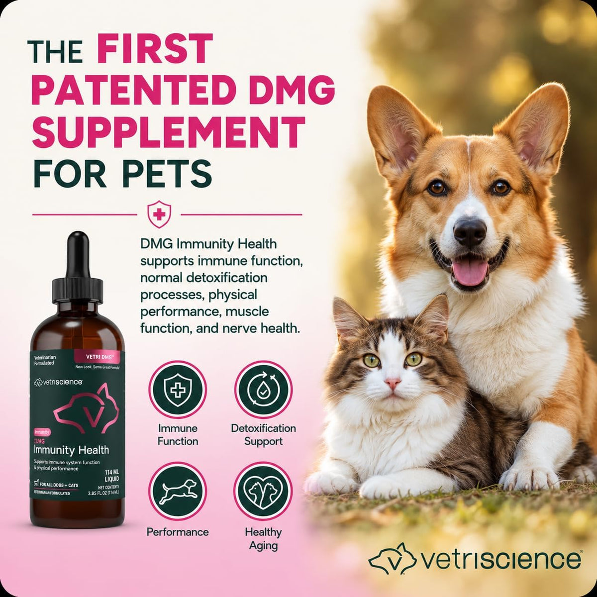 VetriScience DMG Immunity Health - Dogs & Cats Liquid - görsel 9