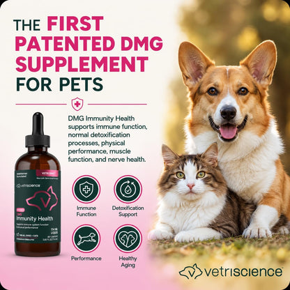 VetriScience DMG Immunity Health - Dogs & Cats Liquid