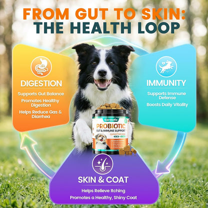 Probiotics for Dogs, Chicken Flavour (200 Chews) – Supports Digestive Health, Skin & Immunity