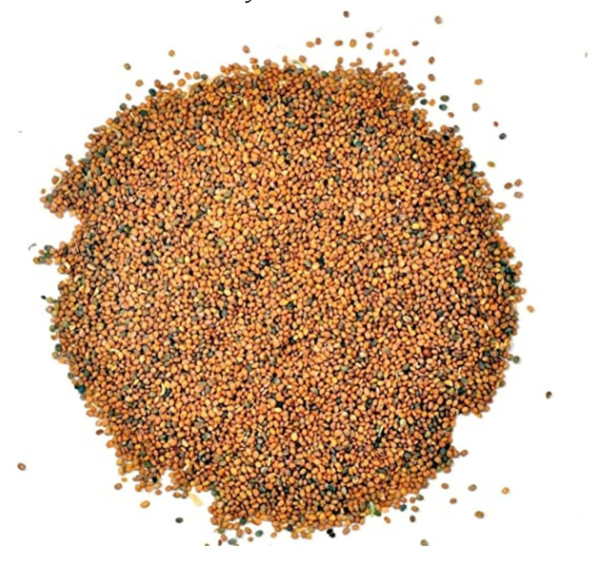AYURVEM HERBS™ Taramira Beej - Taramira Seeds - Arugula Seed (400g) - görsel 1