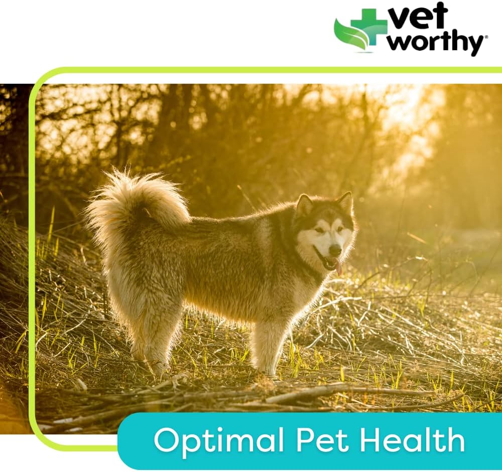 Vet Worthy Adult Multi Vitamins for Dogs, 60 Tablets (Liver Flavour) - görsel 4