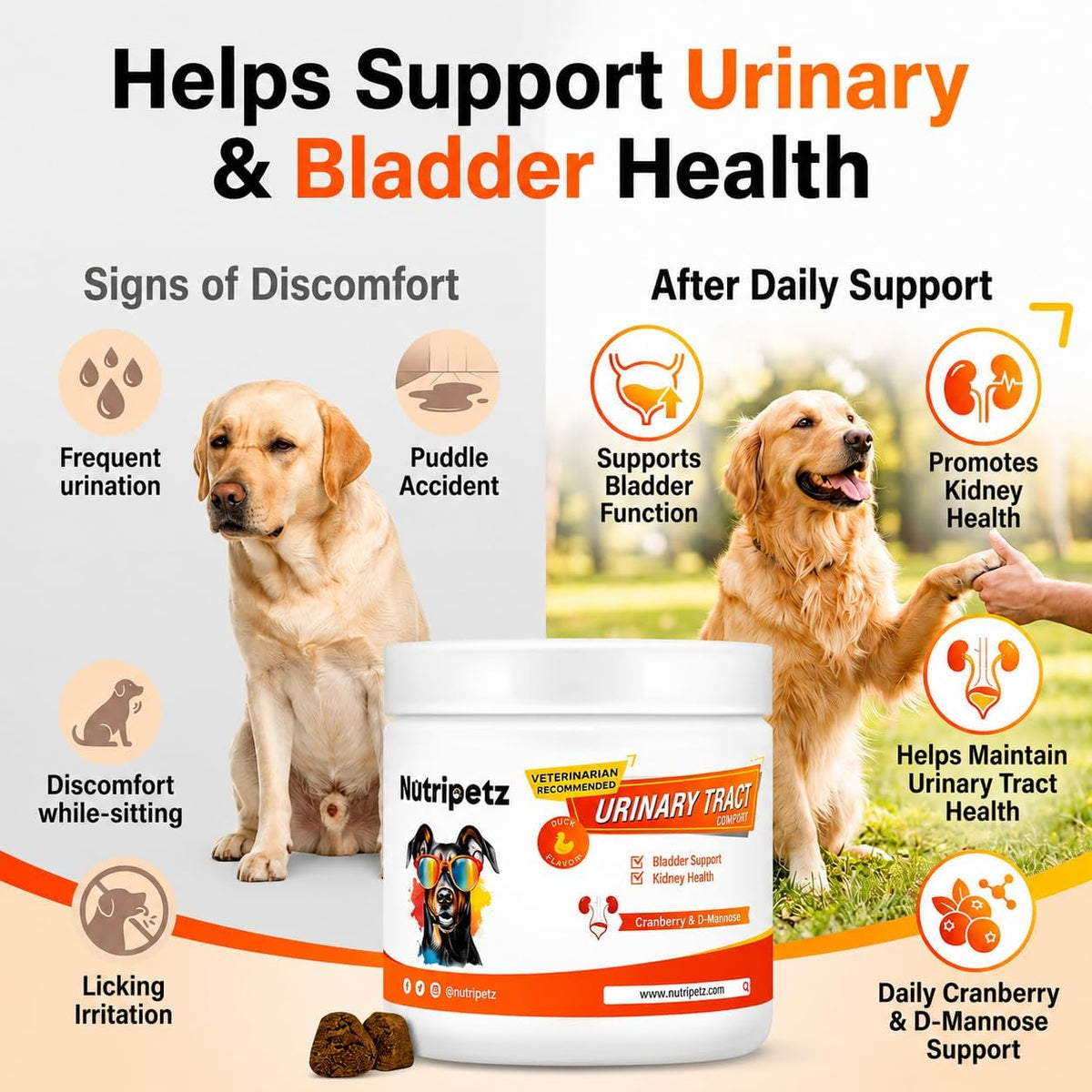 NutriPetz Cranberry Supplement for Dogs - Bladder and Urinary Tract Support - 120 Chews - görsel 3