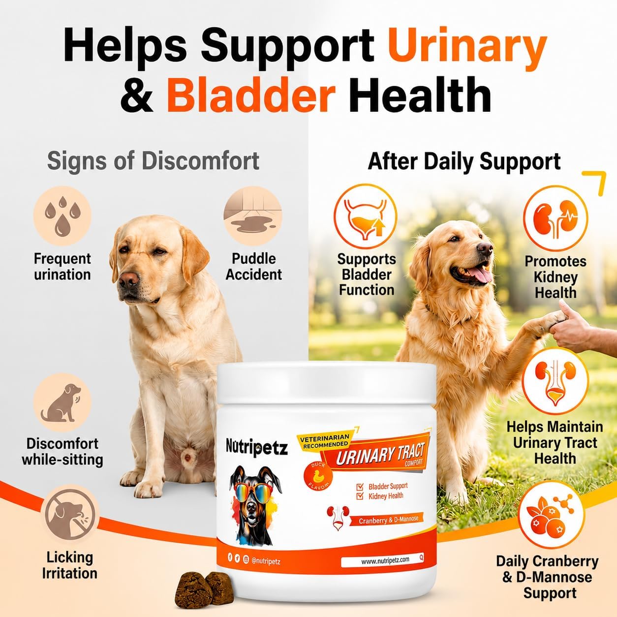 NutriPetz Cranberry Supplement for Dogs - Bladder and Urinary Tract Support - 120 Chews - görsel 3