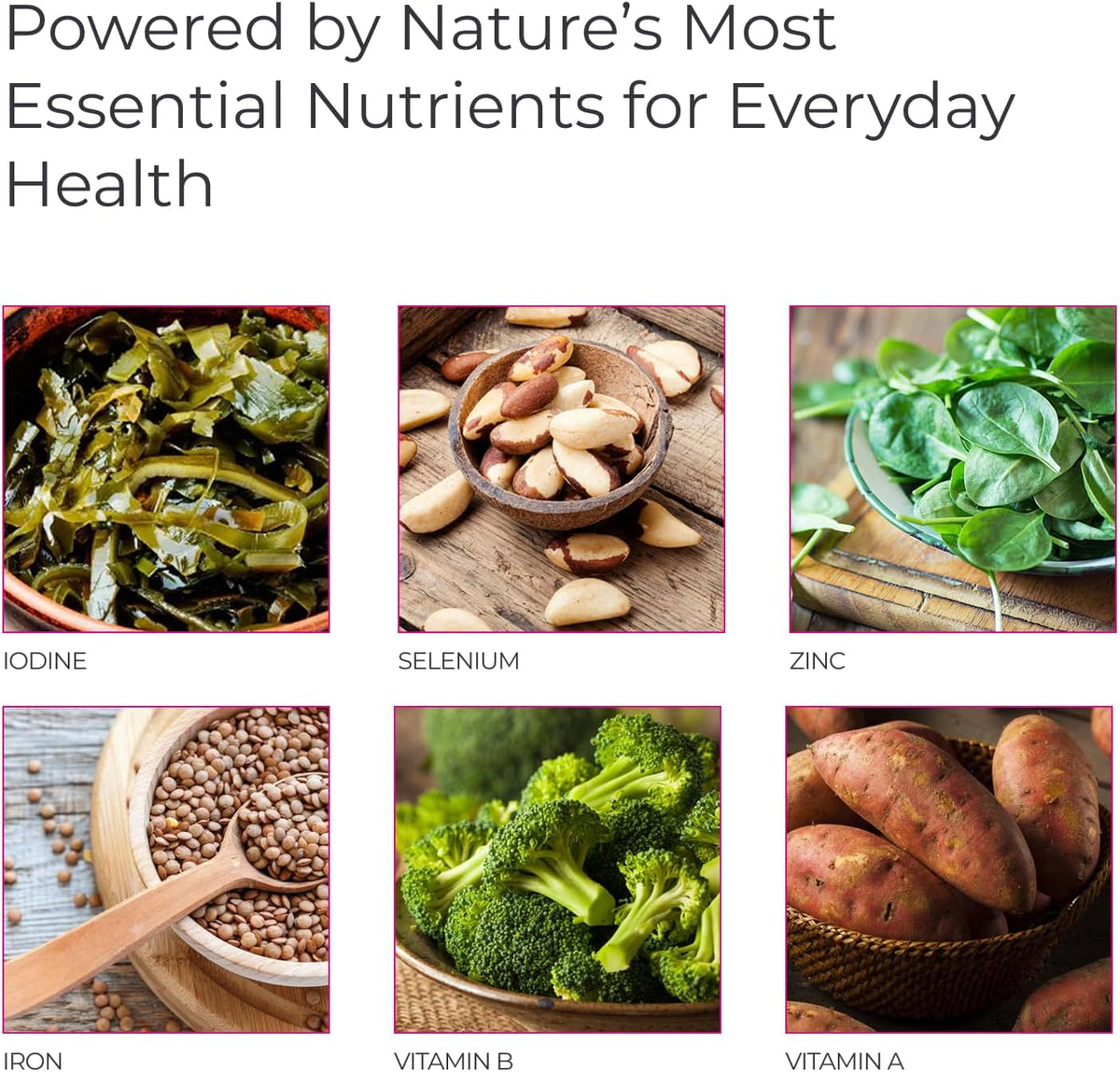 Livingood Daily Methylated Multivitamin for Women and Men - görsel 4