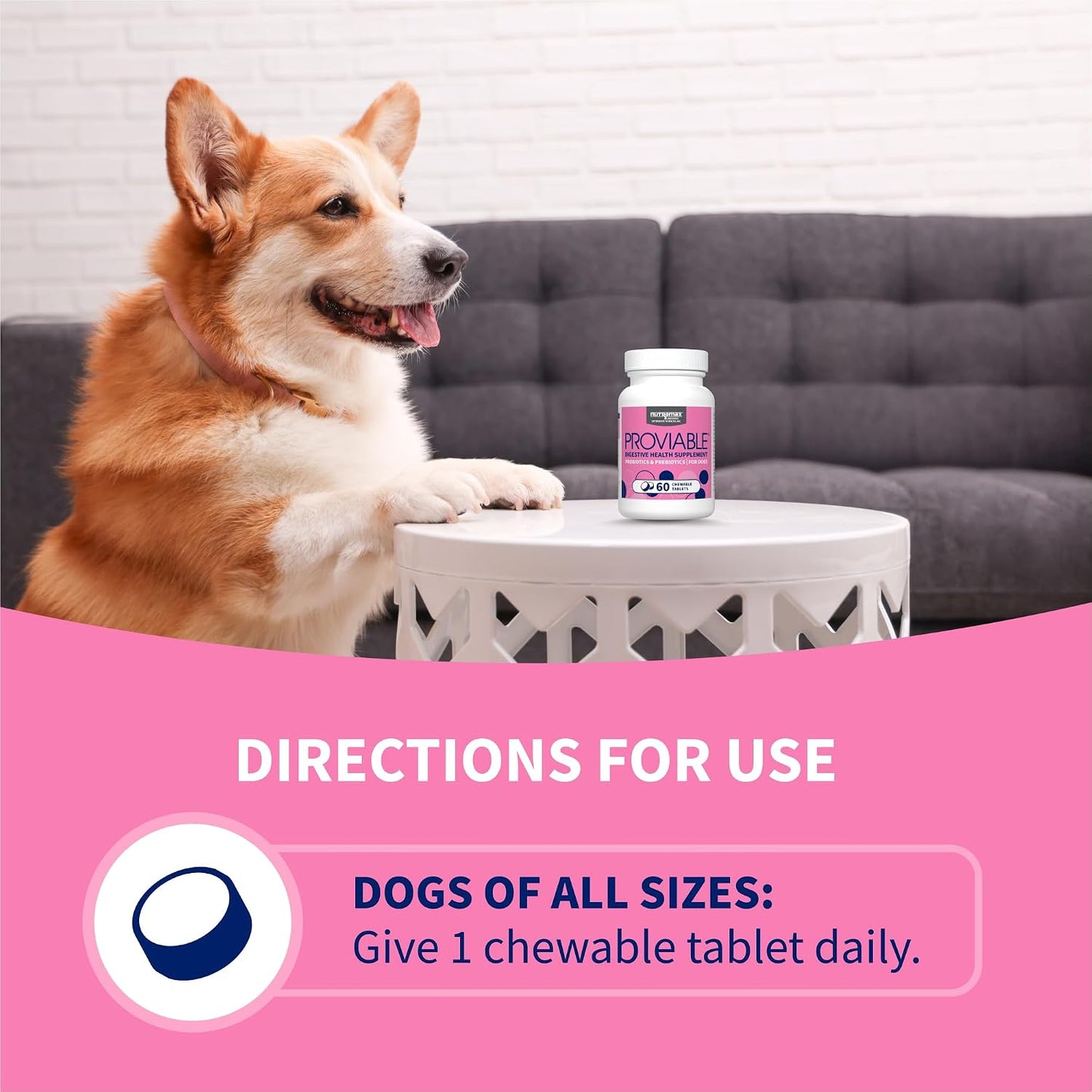 Nutramax Proviable Probiotics for Dogs - Daily Digestive Health Supplement with Prebiotics, 60 Chewable Tablets - görsel 6