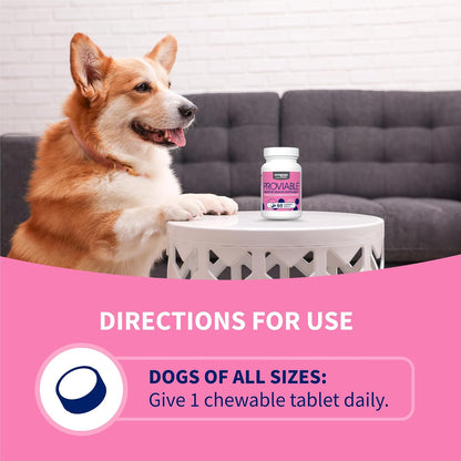 Nutramax Proviable Probiotics for Dogs - Daily Digestive Health Supplement with Prebiotics, 60 Chewable Tablets
