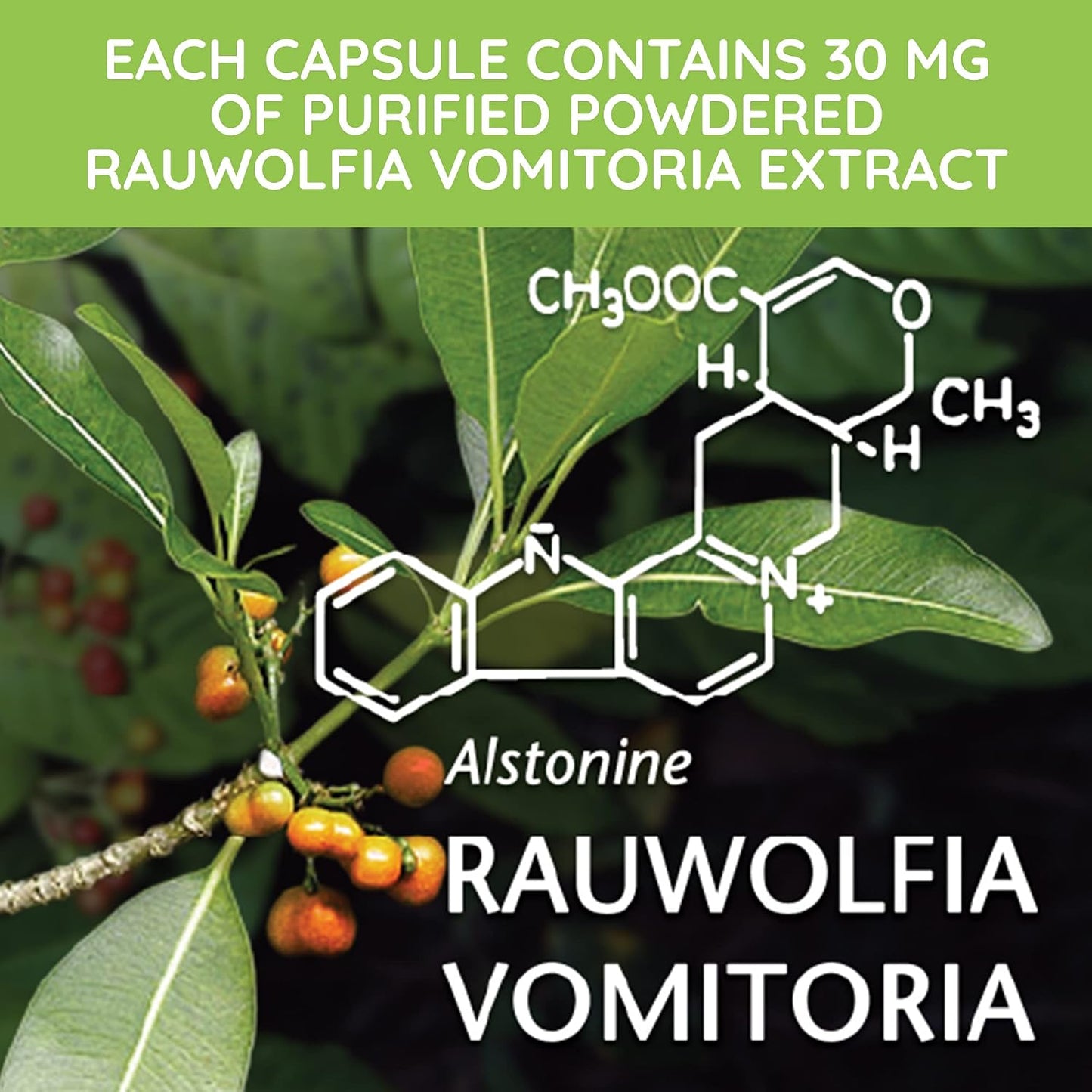 Beljanski® Products - Rovol V® Dietary Supplement - Rauwolfia Vomitoria Extract - 100 Capsules - görsel 5