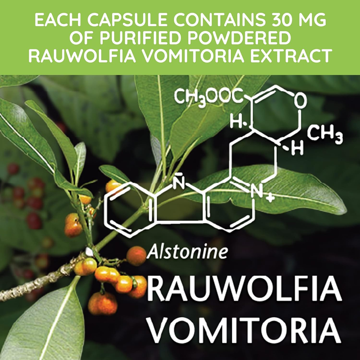 Beljanski® Products - Rovol V® Dietary Supplement - Rauwolfia Vomitoria Extract - 100 Capsules - görsel 5