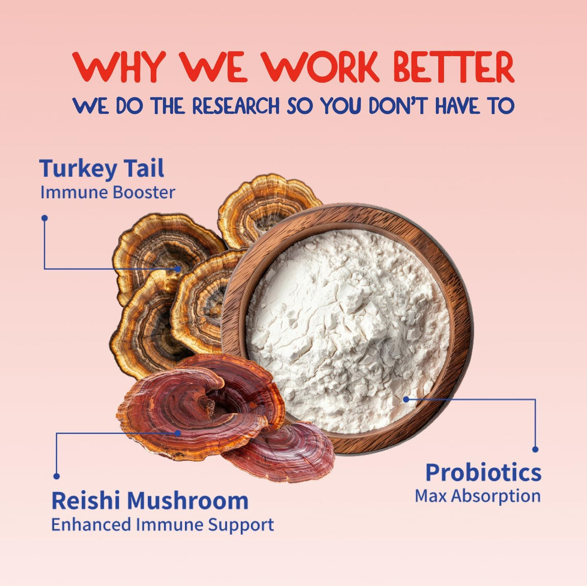 Fifth & Fido Turkey Tail Mushroom for Dogs – Immune Support & Digestive Health, 100 Servings - görsel 6