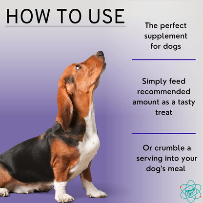 PET CARE Sciences Dog Incontinence Supplement – Bladder Control for Dogs, 55 Soft Chews