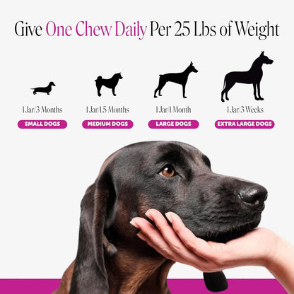 10-in-1 Dog Multivitamin Supplement with Glucosamine & Probiotics – Hip & Joint Support, Digestive Health, Immune Support – Peanut Butter Flavour, 90 Chews