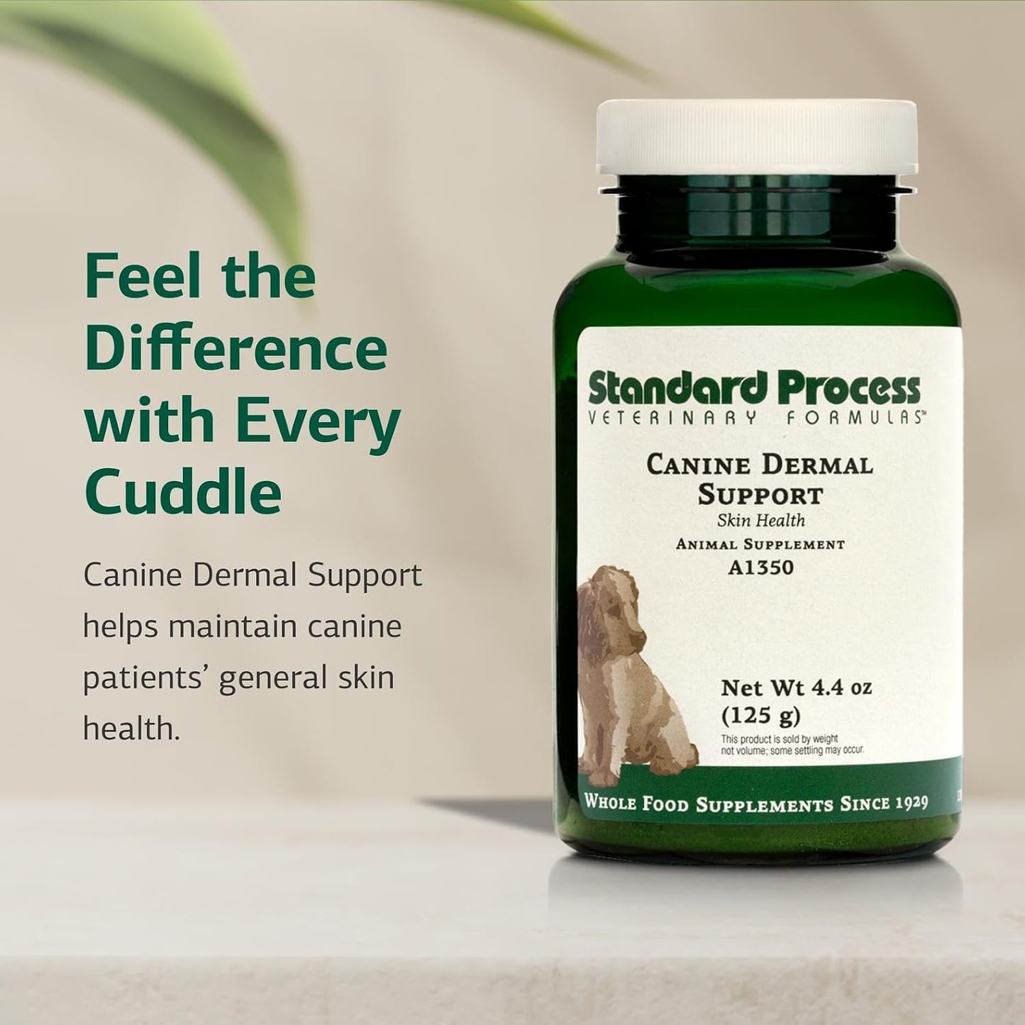Standard Process Canine Dermal Support - Skin & Adrenal Gland Supplement for Dogs - 125 g - görsel 3