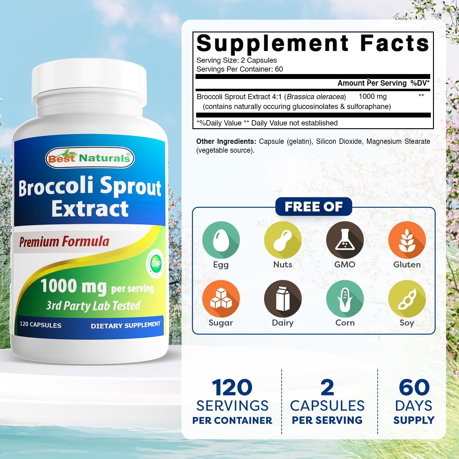 Best Naturals Broccoli Sprout Extract 1000mg per Serving - 120 Capsules (Pack of 2) - görsel 2