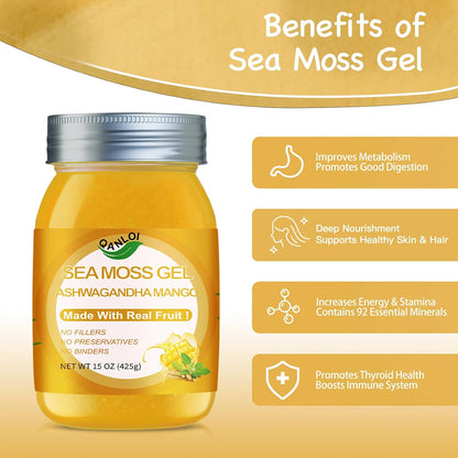 QANLOI Sea Moss Gel with Ashwagandha – Immunity Support – 425g