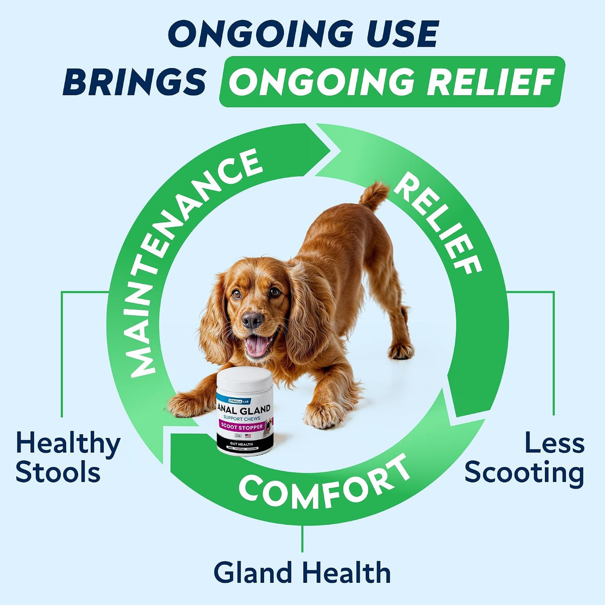 STRELLALAB Anal Gland Support Chews - Scooting Support - Digestive Enzymes, Prebiotics & Fibre Supplement for Dogs 120 Chews - görsel 5